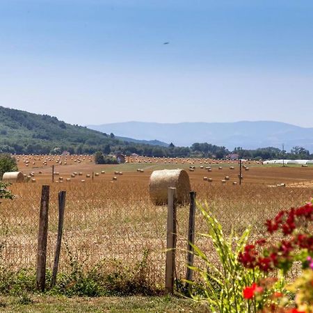 L'Escale Thoduroise Daire Thodure Dış mekan fotoğraf